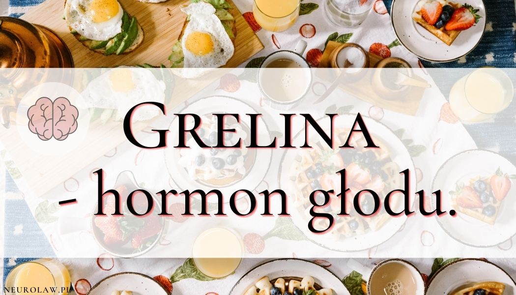 Grelina – hormon głodu.
